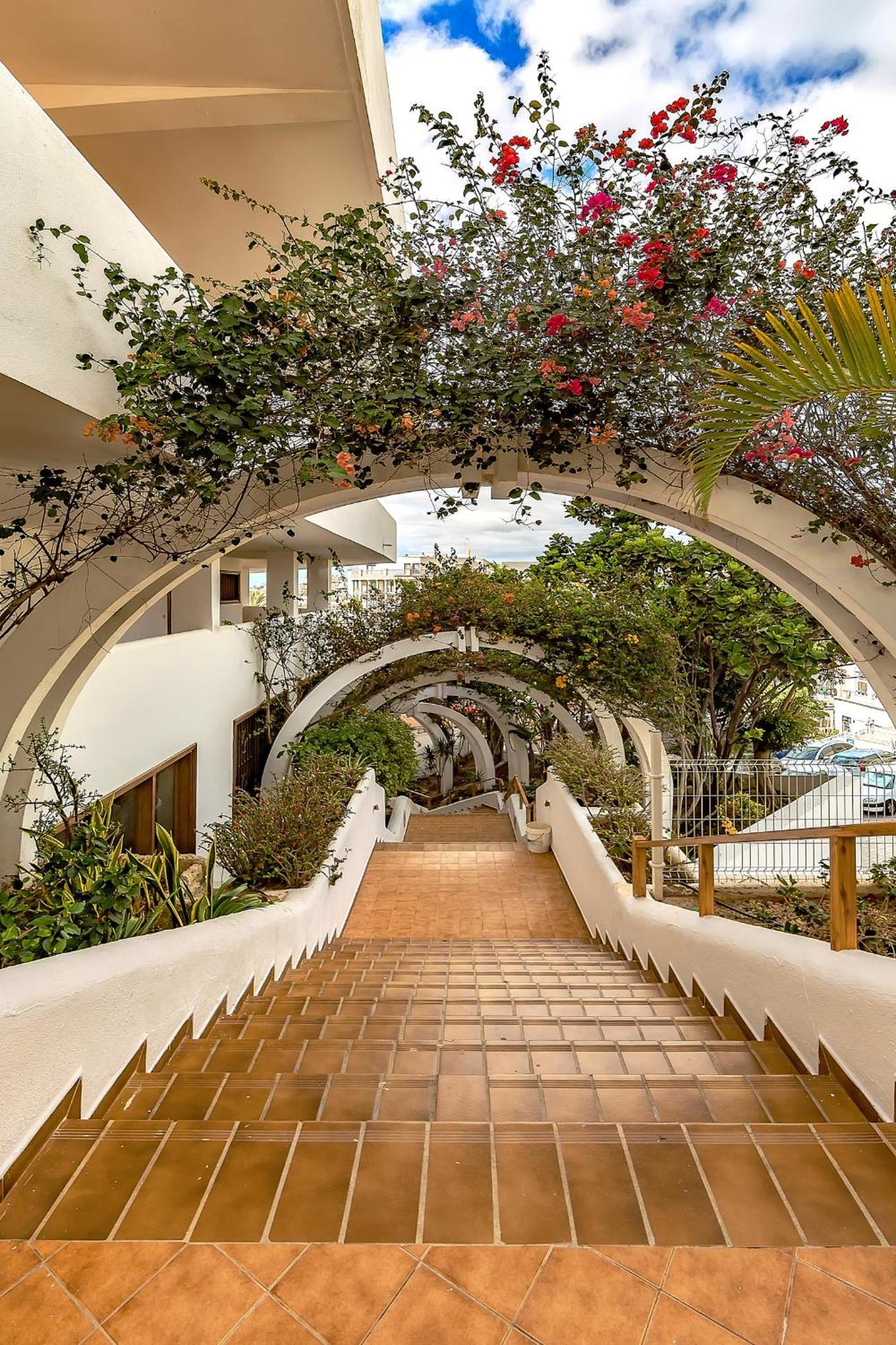 אדחה Ocean View Apartments In Park Royal I מראה חיצוני תמונה